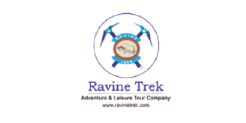 Logo 20